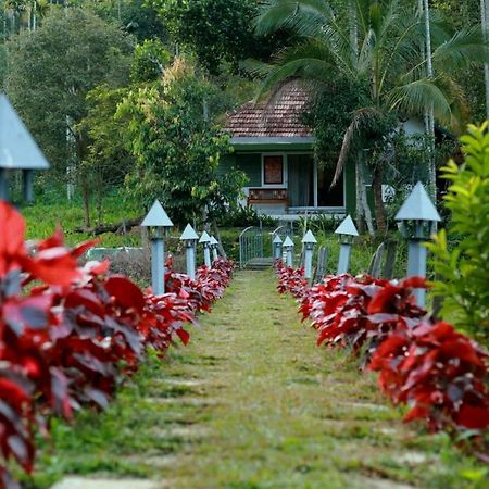 Ayurnest Pool Resort Wayanad Batheri Экстерьер фото