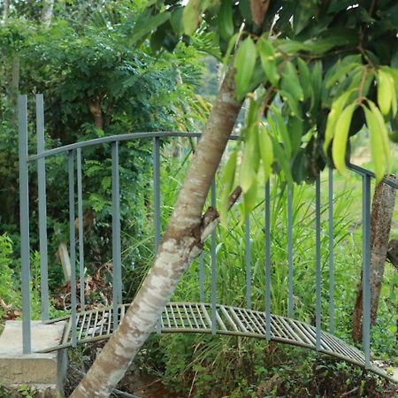 Ayurnest Pool Resort Wayanad Batheri Экстерьер фото